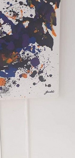 Paintings done by a vission impaired artist is up for fundraising.